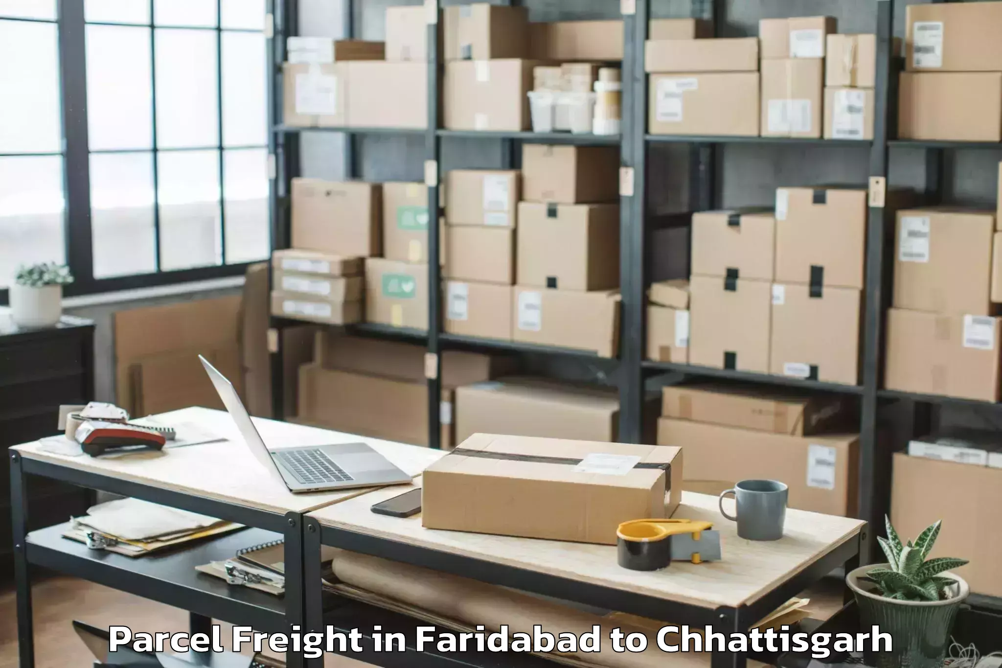 Easy Faridabad to Udaipur Dharamjaigarh Parcel Freight Booking